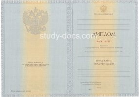 Диплом специалиста 2012-2013 в Братске